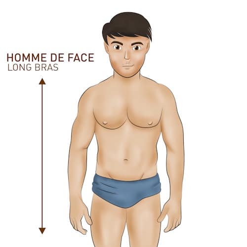 Morpho-anatomie bras longs