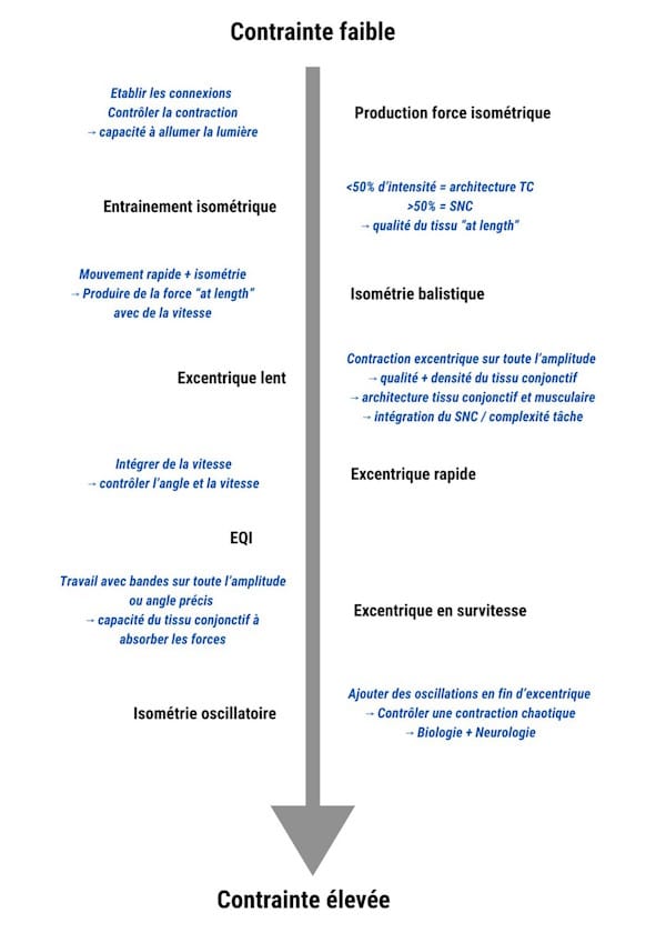 Continuum de la rééducation du tendon