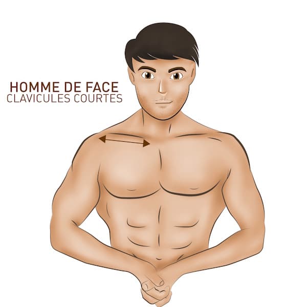 Hypertrophie - Analyse morpho-anatomique