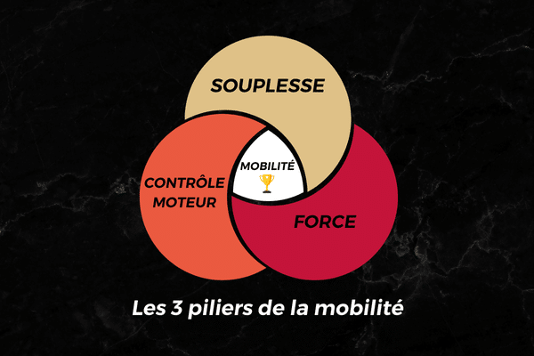 Les 3 piliers de la mobilité