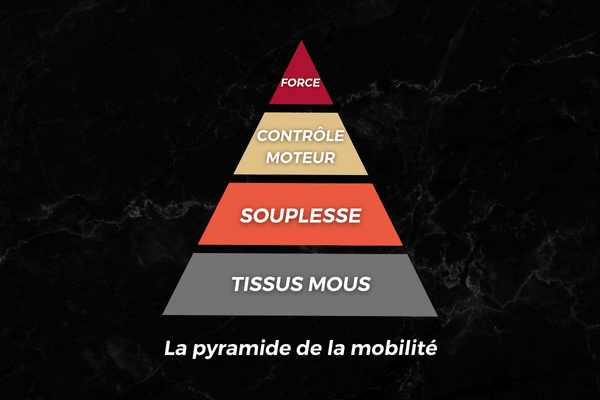 La pyramide de la mobilité