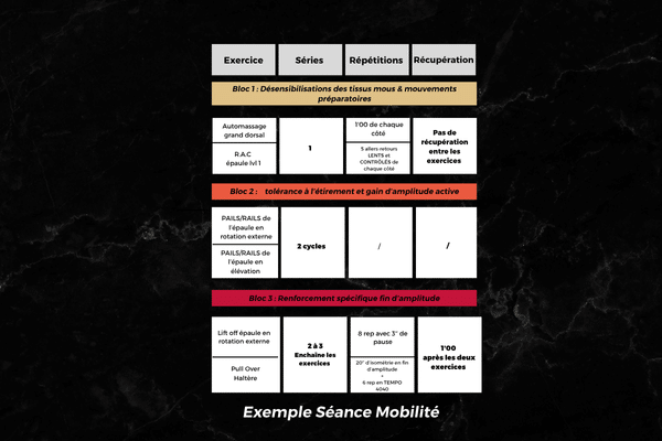 Exemple de séance de mobilité