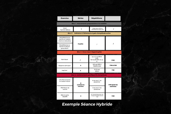 Exemple de séance hybride