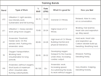Programme Rameur Anglo-Saxons