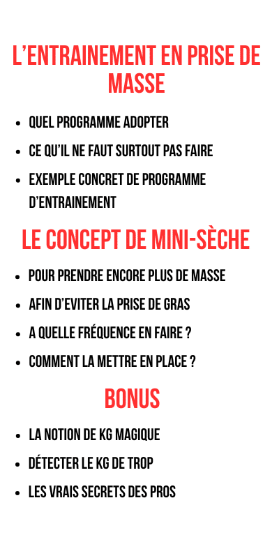 La mini sèche en prise de masse