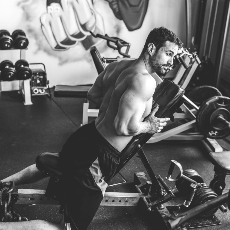 Les études en musculation