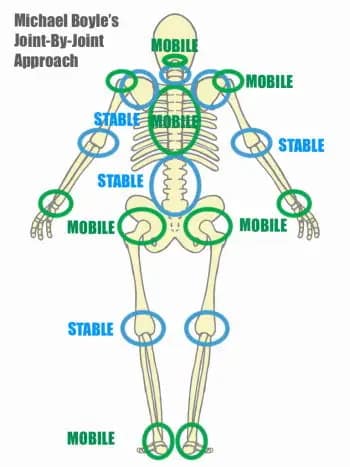 Sangle abdominale