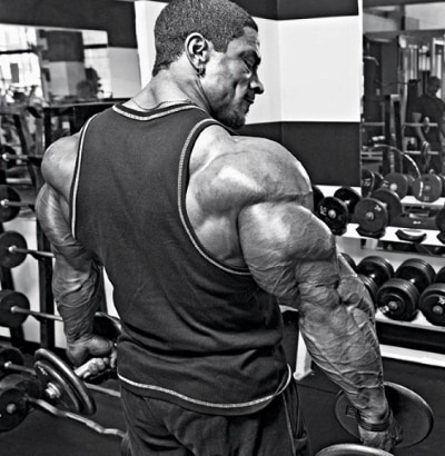 Triceps longs