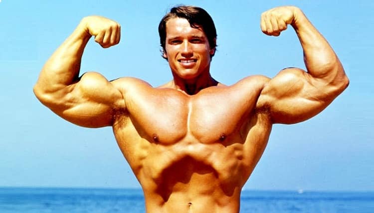 PROGRAMME ARNOLD SCHWARZENEGGER par Rudy coia