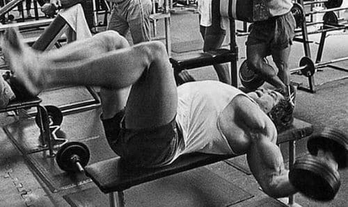 Programme Arnold Schwarzenegger