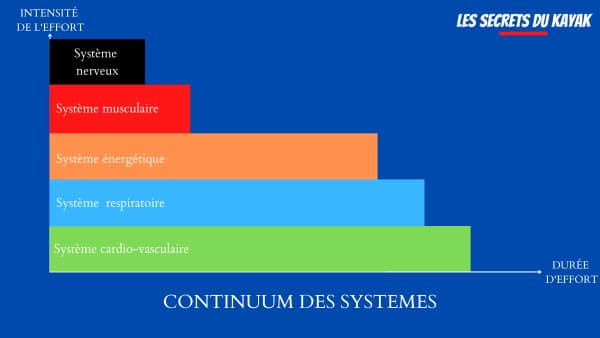 Les principaux systèmes mis en jeu par l'entrainement