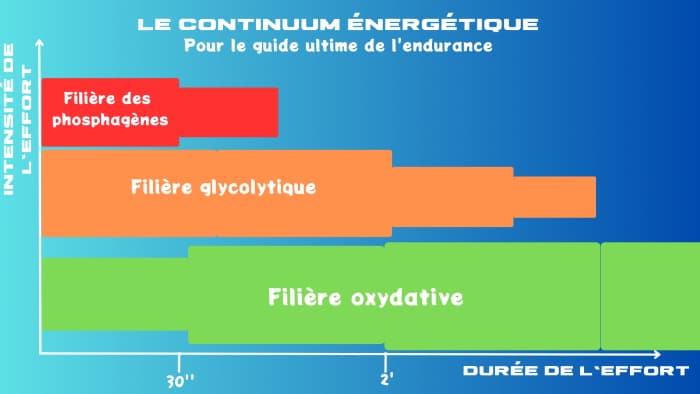Continuum énergétique