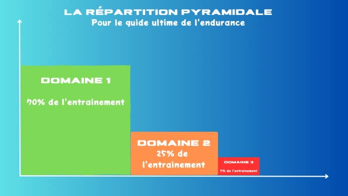 Répartition de l'entrainement pyramidale