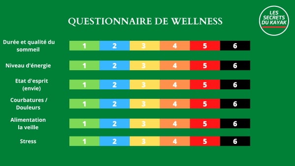 Questionnaire de Wellness